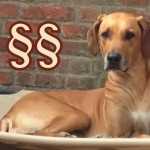 News zur Seite und der Kommentarfunktion