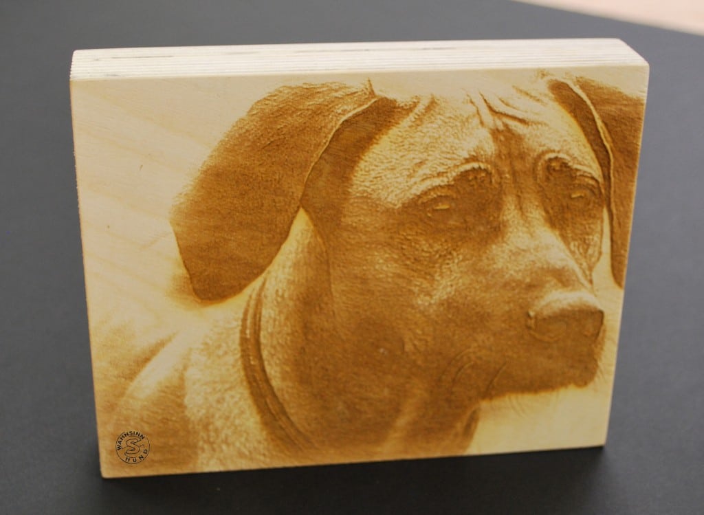 Das rustikale Holzbild - Wissen-Hund.de