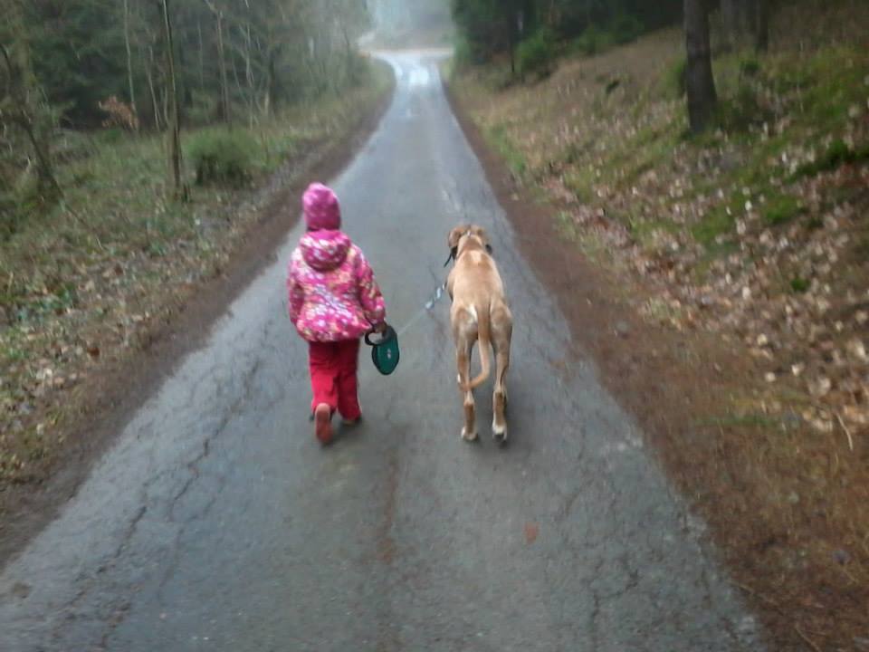 Kind geht mit Hund spazieren.