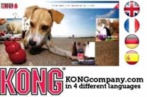 Kong-Company