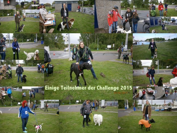 Einige der Starter an der Challenge 2015.
