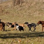 Der Selbsterhaltungstrieb – Teil 4