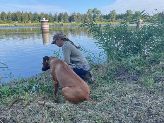 Was wir sehen, ist selten der Anfang. Hund und Mensch in ruhigem Moment am Wasser