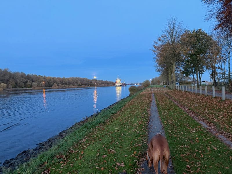 Abendspaziergang am Kanal - Dazwischen