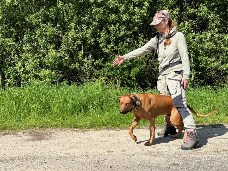 Birthe Thompson und Dante