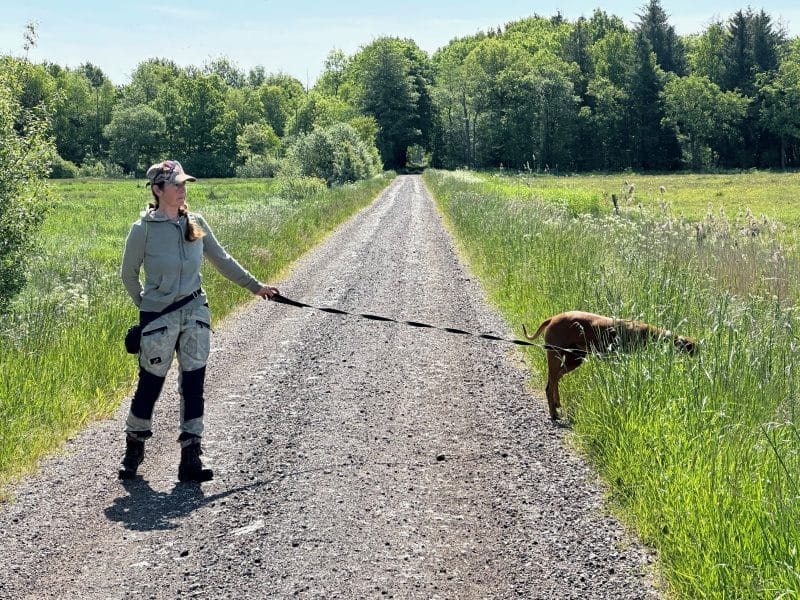Was wir sehen, ist selten der Anfang. Hund orientiert sich nach außen, während der Mensch innehält