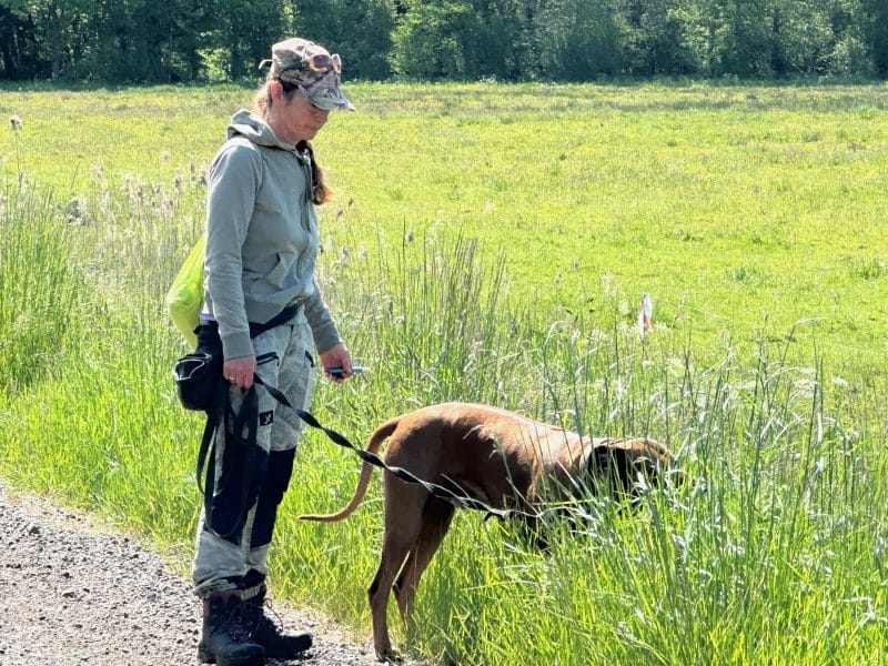 Was wir sehen, ist selten der Anfang. Hund im eigenen Prozess, Mensch hält den Raum