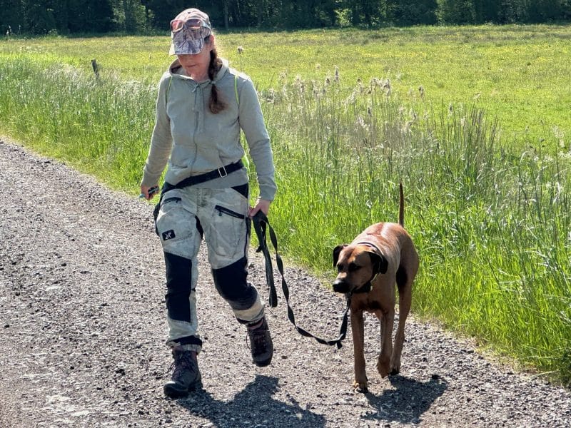 Was wir sehen, ist selten der Anfang. Mensch und Hund gehen gemeinsam weiter