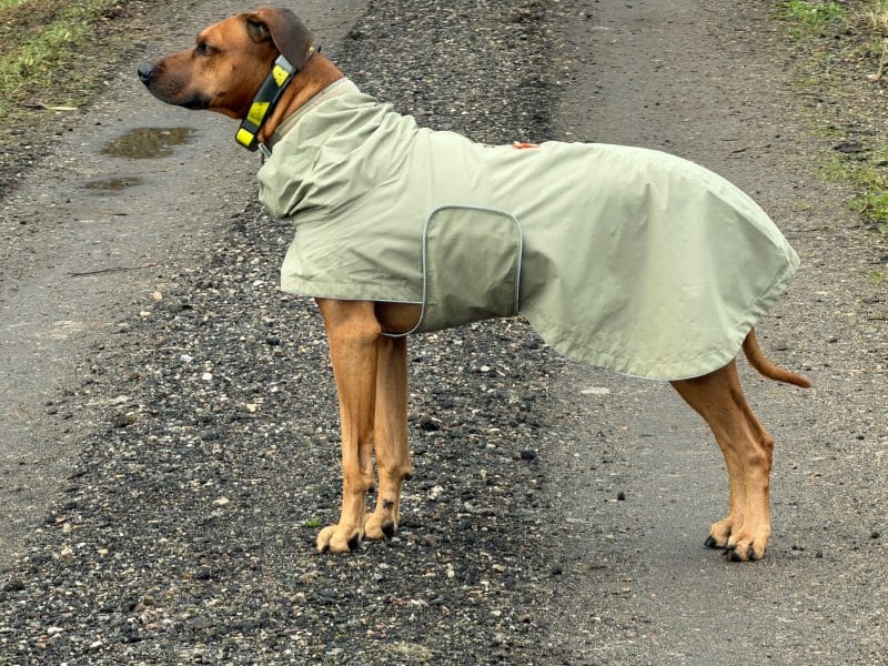 Regenmantel von Emma & Theo