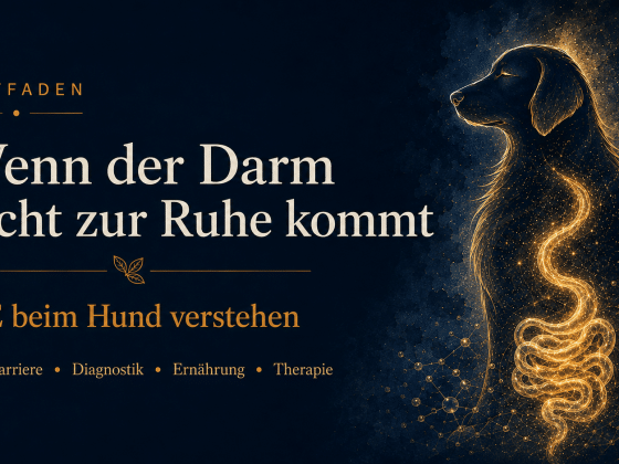 Chronische Verdauungsbeschwerden beim Hund