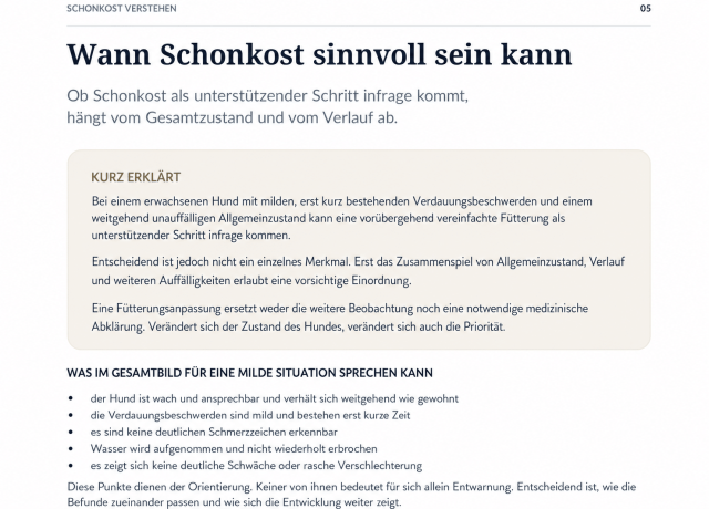 Schonkost - digitaler Leitfaden